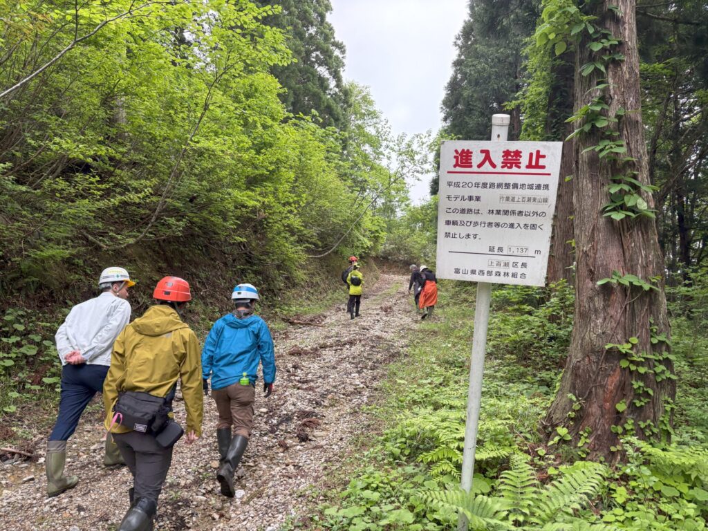 イメージする画像