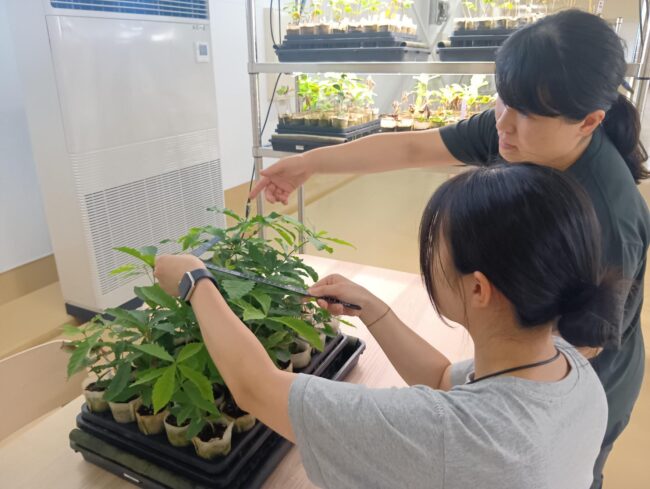 障がい者雇用SDGsのアイキャッチ